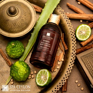 yzGiWCY {fB NU[ 250ml n[u {fB\[v Vi xKbg p` Mtg  v[g a ؂₩    Ƃ XLPA A[