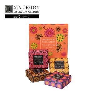 yzOWA[ \[v RNV 50g×4 A} XJ MtgZbg  v[g Ԃ   RX ϕi {fBPA AR[t[ v[g Ԃ 