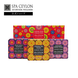 yz OWA[ \[v {bNX Zbg (bNX) 100g×3 A} {fBPA Ό Ō` Mtg  ޏ v[g a ؂₩    Ƃ XJ XL