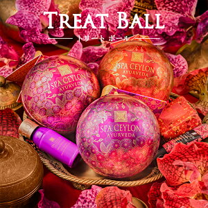 yzI[Lbh p_CX g[g{[ ʌ NX}X Rt 2025 A} {fBPA Ό nhN[ AR[t[ {fB[V bv Mtg v[g 