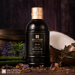 yz s[X oX  V[ WF 250mL A} {fB\[v x_[ OX Mtg  v[g a ؂₩    Ƃ XLPA A[F