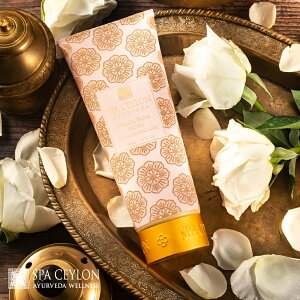 yz zCg [Y tFCV NWO WF 150mL A} 犣  Ƃ XLPAMtg  v[g a A[F[_ ؂₩ 