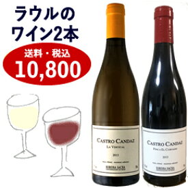 スペインワイン 高級 特徴 赤 おすすめ お土産 飲み比べ【カストロ・カンダス (赤・白ワイン2本セット)】送料・消費税込 産地 DOリベイラサクラ ラウル ペレス ギフト プレゼント ラッピング 熨斗 メッセージカード お祝い ベルティカル フィンカ エル クルバド