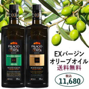 XyC ō GLXgo[W I[uIC 2{ Zbg sNA AxL[iypVIEfEXEI[{Xz500ml×2{Zbg Mtg v[g   