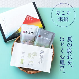 【 国産 デスクワークの強い味方】 入浴剤 プチギフトプレゼント / 感謝 お配りギフト / 温もり 和/ 誕生日 父の日 実用的 健康 温泉 疲労回復 ありがとうギフト 退職 送別 挨拶 歓迎 個包装 女性 男性 父 母 子供 薬草湯 生薬 ヤングビーナス 温泉の素