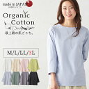 【15%OFFクーポン対象】ラグランTシャツ 七分袖 カットソー Tシャツ レディース 日本製 オーガニックコットン コットン100% ラグランスリーブ 七分袖 UVカット トップス UVケア ゆったり 大きいサイズ コットン 綿100 30代 40代 50代 60代 春 夏 秋 白 黒 無地