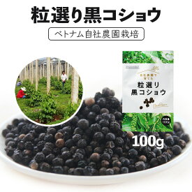 ★レビュー特典あり★【1000円ポッキリ】無農薬 栽培 粒選り 黒コショウ ( ホール ) 100g【メール便】ベトナム系列農園 ｜チャック袋入り ブラックペッパー 胡椒 こしょう コショー ぺパー サステナブル スパイス ポイント消化