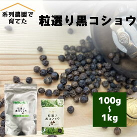 【8/11までクーポンあり】無農薬 栽培 レビューで燻製黒コショウ ブラックペッパー ホール 粒選り 黒コショウ ホール 100g / 1kg チャック袋入り 黒胡椒 胡椒 こしょう ペッパー スパイス 香辛料 送料無料
