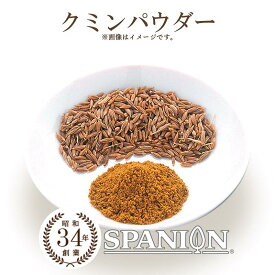 クミン パウダー 100g 【メール便】（保存に便利なチャック付袋入り！）｜ カレースパイス スパイスカレー クミンパウダー 粉末 クミンシード くみん 業務用 スパイス カレー