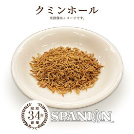 クミン ホール ( 原形 ) 100g 【メール便】（保存に便利なチャック付袋入り！）｜ カレースパイス スパイスカレー クミン クミンシード くみん 業務用 スパイス カレー スタータースパイス テンパリング スターターオイル