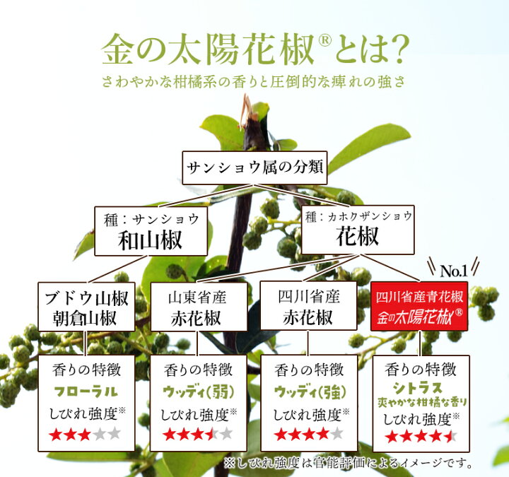 激安 超特価 花椒 パウダー 粉末 粉 50g さんしょ サンショ カホクザンショウ 華北山椒 かしょう ホアジャオ Materialworldblog Com 激安 超特価 花椒 パウダー 粉末 粉 50g さんしょ サンショ カホクザンショウ 華北山椒 かしょう ホアジャオ Materialworldblog Com