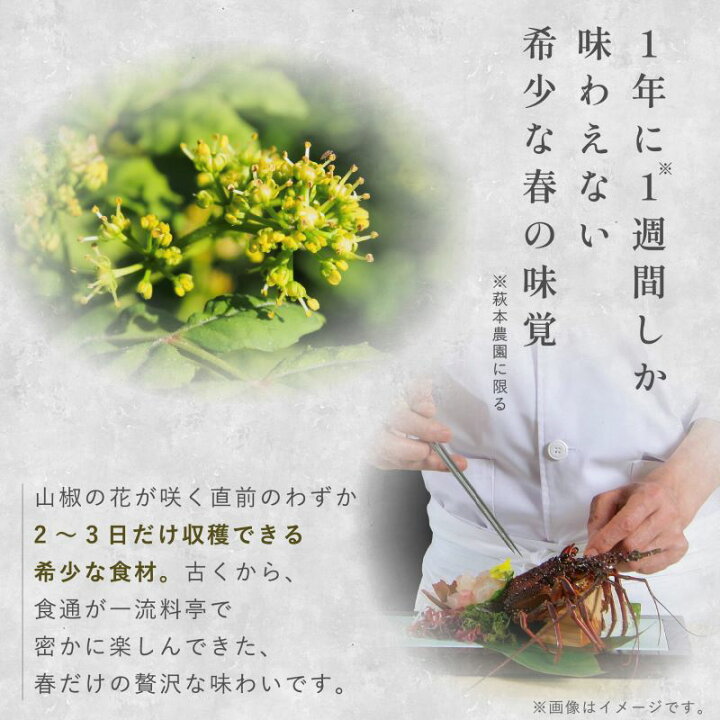楽天市場】【予約品】【一部地域限定発売】朝倉 花山椒 奈良県産 約50g 