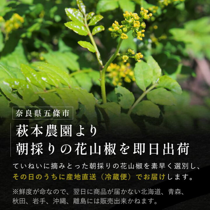 楽天市場】【予約品】【一部地域限定発売】朝倉 花山椒 奈良県産 約50g 