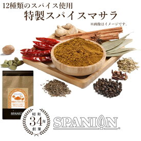 香り高い ガラムマサラ 100g【メール便】チャック袋入り｜ カレースパイス スパイスカレー 特製 スパイス マサラ 業務用 調味料 カレー パウダー 味変 ミックススパイス スパイスミックス 唐辛子 シナモン オールスパイス