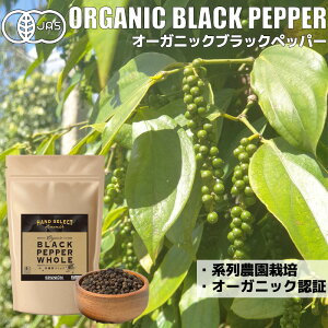 I[KjbNubNybp[ 200g / 400g I[KjbN RVE ubNybp[ L@JAS z[ `bNܓ Ӟ Ӟ 傤 ybp[ L@ JAS [ 