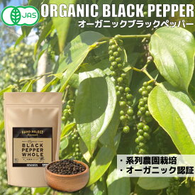 オーガニックブラックペッパー 100g / 200g / 400g レビューでお試しスパイスプレゼント！ オーガニック 黒コショウ ブラックペッパー 有機JAS ホール チャック袋入り 黒胡椒 胡椒 こしょう ペッパー 有機 JAS メール便 送料無料
