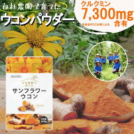 無農薬 栽培 高クルクミン ターメリック パウダー 100g チャック袋入り ウコン パウダー ウコン粉末 秋う…