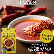 【Max P10倍!】ヤンチャン 麻辣スパイス 50g レビューでお試しスパイスプレゼント！ 四川風 万能調味料 …