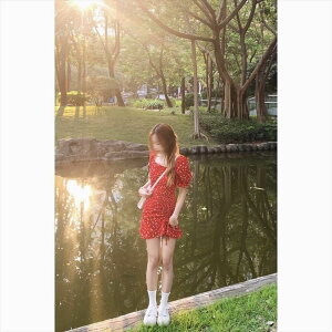 fB[X s[X g f[g shX V[g V[g   XNGAlbN ݂Ȃ X ^Cg IC ؂ւfUC 킢 l ꂢ V