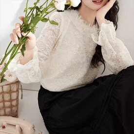 レディース トップス ブラウス カットソー デート レース 白トップス ミディアム丈 袖あり 長袖 ボリューム袖 フレアスリーブ 萌袖 ラウンドネック 襟なし スタンドカラー 切り替えデザイン 透け感 かわいい 大人可愛い きれいめ シンプル カジュアル 上品 おしゃれ