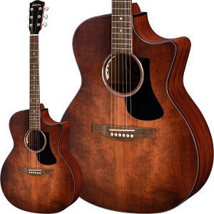 Eastman PCH1-GACE-CLA (Classic) [ʌTIԃJ|^Xg SHUBB C1/C v[gI] y C[Xg} Grand Auditorium ( Oh I[fBgA ) GNgbN AR[XeBbNM^[ G