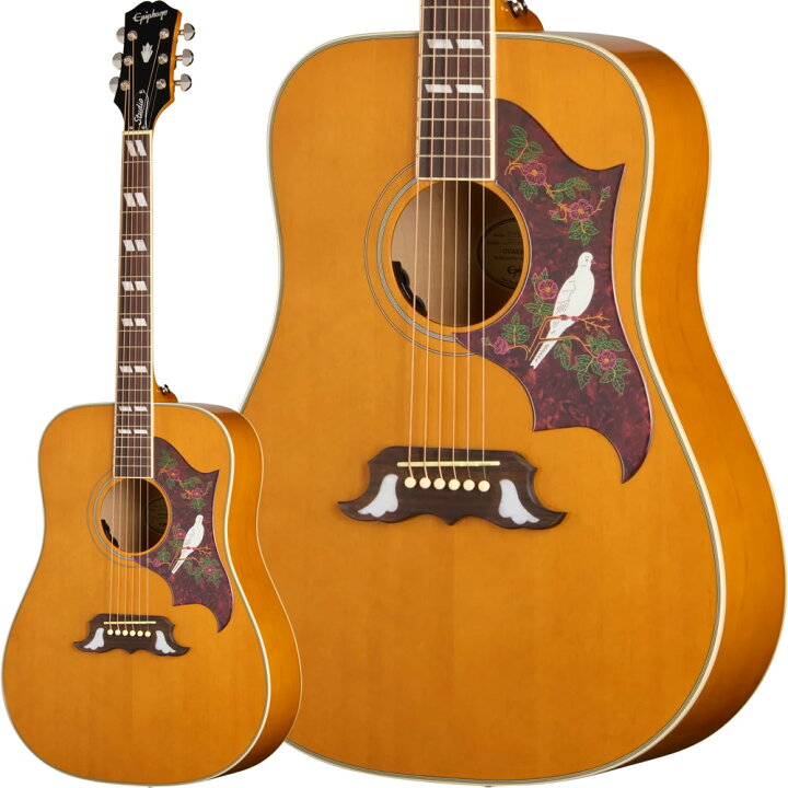 楽天市場】Epiphone Inspired by Gibson Dove Studio (Natural 