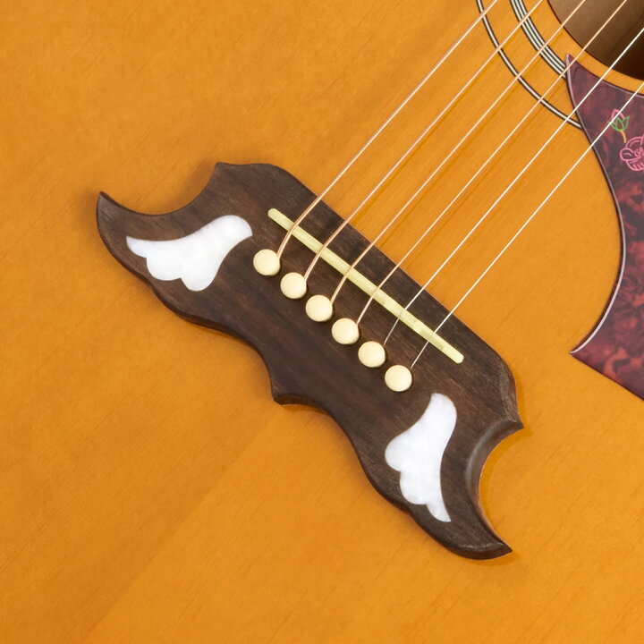 楽天市場】Epiphone Inspired by Gibson Dove Studio (Natural 