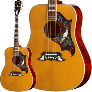 Epiphone Inspired by Gibson Custom 1963 Dove Reissue (Natural) [L.R. Baggs vAvڃGARdl] y GstH CXpCAh oC Mu\ JX^ 1963 _ CV[ AR[XeBbNM^[ G