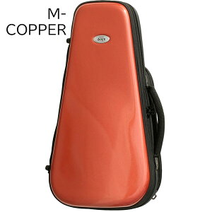 BAGS TRUMPET CASE(EFTR) [gybgp] y obOX Ǌy t@Co[ P[X OXt@Co[ z