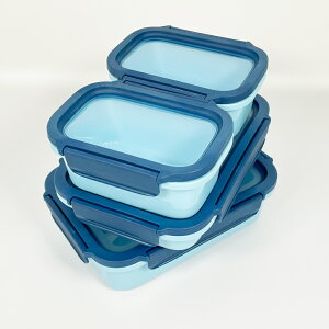 LтVRW ۑe Delione Flex'n Fresh containers 2`4_Zbg ^bp[ ٓ ۑe t[hRei  pbL LjX^[ vX`bN Lтӂ Vv  Xgb