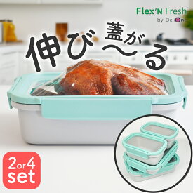 伸びるシリコン蓋 保存容器 Delione Flex'n Fresh containers 2〜4点セット タッパー 弁当箱 保存容器 フードコンテナ 密閉 パッキン キャニスター プラスチック 伸びるふた シンプル おしゃれ ストッカー レンジ対応 食洗機対応 冷凍 食品 ストック 食品保存容器 BPAフリー