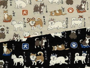 ȕ\̓{ } vgIbNXn10cmPʂŔ̔[ւ2m܂őΉ܂