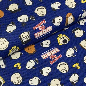 PEANUTS@Xk[s[ytFCX/lCr[zIbNXn 10cmPʁ