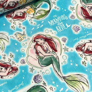 fBYj[ vZXyAG/VFzIbNXn10cmP(n110cm)[ւ2m܂łłB