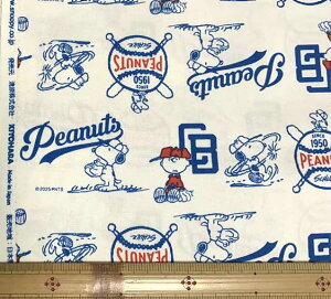 PEANUTS@Xk[s[yx[X{[zIbNXn 10cmPʁi109cmj