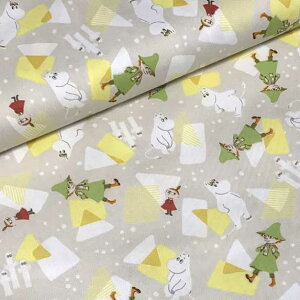 [~ Aj[V􉽕 IbNXns10cmPʉiE110cmERbg100EO[t[ւ2mΉł܂B