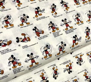 fBYj[) ~bL[}EX@̑ vgV[`On@10cmPʁ