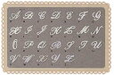 オシャレなアルファベット 花文字ワッペン ...
