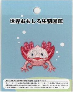 E됶}  hJbyyE[p[[p[z LGW-4yV[/ACڒ p^Cvz