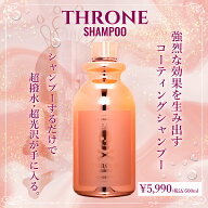 スパシャン 公式 スローンシャンプー 500ml カーシャンプー 撥水 光沢 洗車シャンプー 洗車 泡立ち抜群 …
