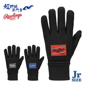 [OX 싅 hANZT[  WjA t[XO[u Np ~p ~pANZT[ hObY Rawlings EAC15F06J