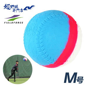 tB[htH[X 싅 ]`FbN{[M  M g[jOpi K X[COK Xs ]ӎ ]`FbN FIELDFORCE FNB-721MKN