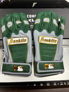 tN 싅 obeBO  싅XCVIWiJ[ obeBOO[u Ŏҗp   CFXPRO Franklin 24897584