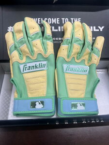 tN 싅 obeBO  싅XCVIWiJ[ obeBOO[u Ŏҗp   CFXPRO franklin 35139377