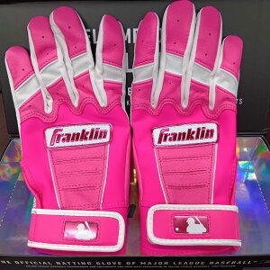 tN 싅 obeBO  싅XCVIWiJ[ obeBOO[u Ŏҗp   CFXPRO Franklin 35794877