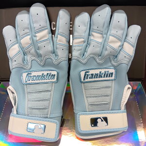 tN 싅 obeBO  싅XCVIWiJ[ obeBOO[u Ŏҗp   CFXPRO Franklin 53076327