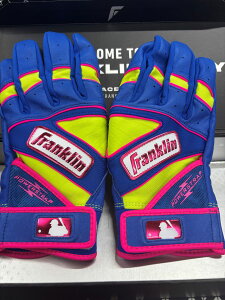 tN 싅 obeBO  싅XCVIWiJ[ obeBOO[u Ŏҗp   POWERSTRAP Franklin 90283737