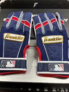 tN 싅 obeBO  싅XCVIWiJ[ obeBOO[u Ŏҗp   CFXPRO Franklin 99919981