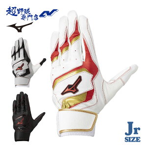 �~�Y�m �싅 �o�b�e�B���O��� �W���j�A ����p ���􂢉\ �o�b�e�B���O�O���[�u ���N�싅 �E�B���h���C�u���b�h WILLDRIVERED MIZUNO 1EJEY290