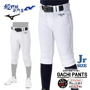 �~�Y�m �싅 ���K�� �W���j�A ���j�t�H�[���p���c ���N�p �K�`�p���c GACHIPANTS ���ꗎ�� �R�ۖh�L ���N�싅 ���w�� ���M�����[ �V���[�g�t�B�b�g �X�y�A�p���c MIZUNO 12JD2F8001 12JD2F8401